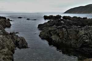 OWHIRO-BAY (17)